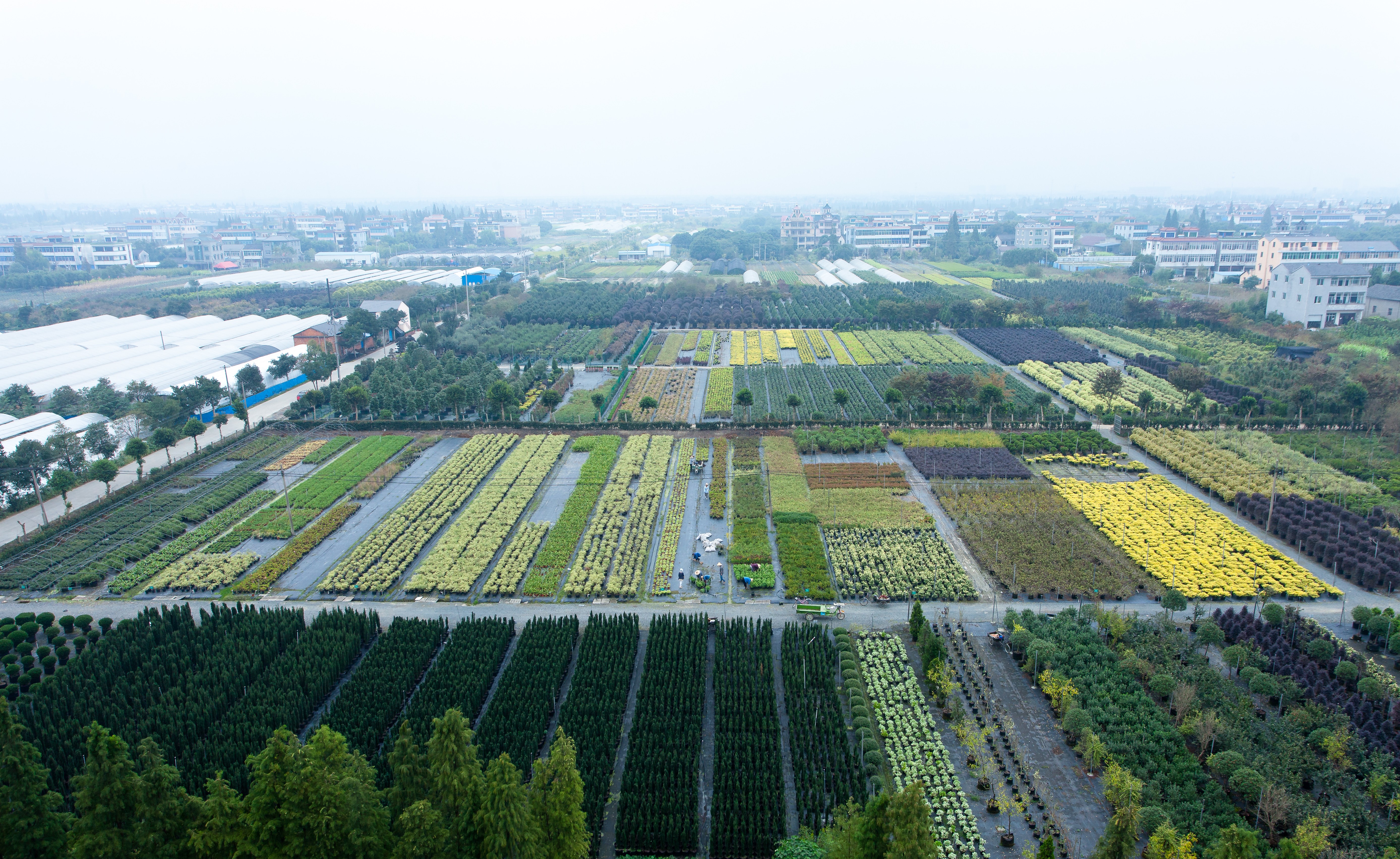 你好呀，2024永利官网中国有限责任公司年度永利官网中国有限责任公司